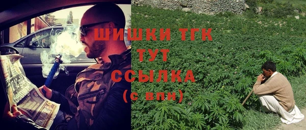 прущие грибы Заводоуковск