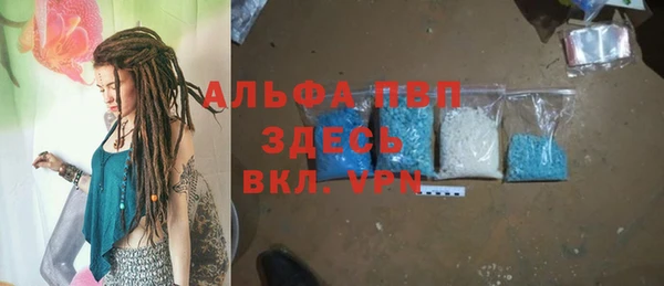 прущие грибы Заводоуковск