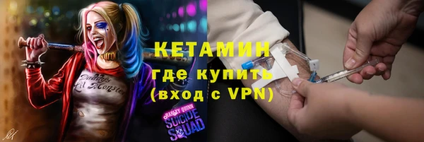 прущие грибы Заводоуковск