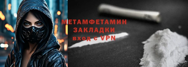 прущие грибы Заводоуковск