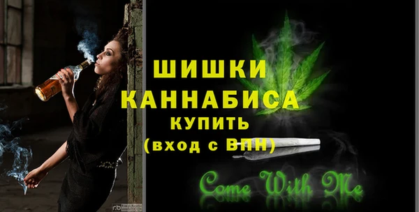 прущие грибы Заводоуковск