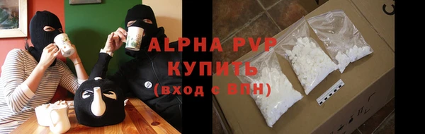 прущие грибы Заводоуковск