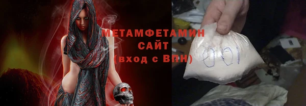 прущие грибы Заводоуковск