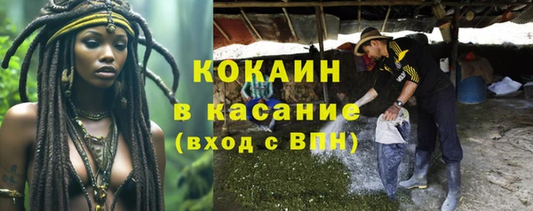 прущие грибы Заводоуковск