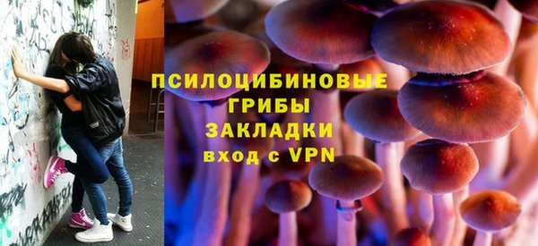 2c-b Заволжье