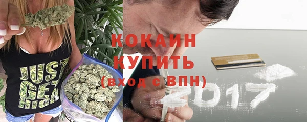 прущие грибы Заводоуковск