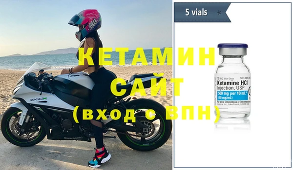 прущие грибы Заводоуковск